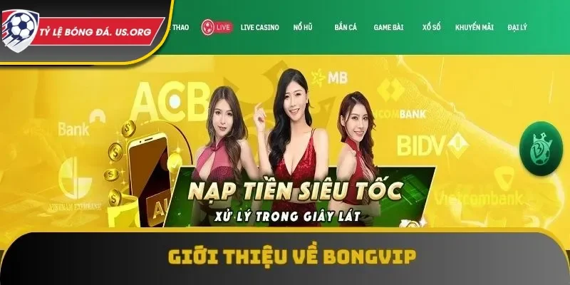 BONGVIP