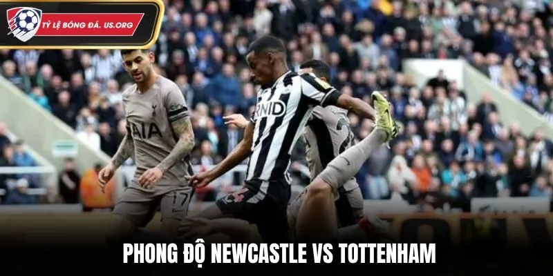 Soi kèo Newcastle vs Tottenham - đánh giá phong độ ra sân